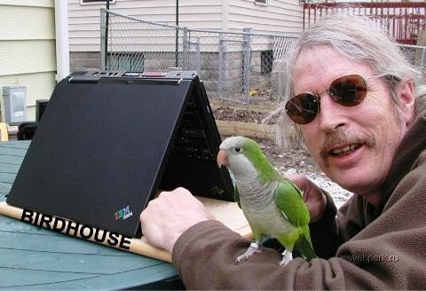 http://images.webpark.ru/uploads52/080605/nout_20.jpg