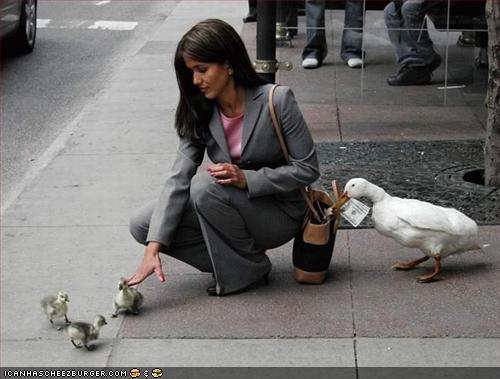 http://images.icanhascheezburger.com/imagestore/2008/8/20/c7d0771f-fc60-401c-b133-d8f469854199.jpg
