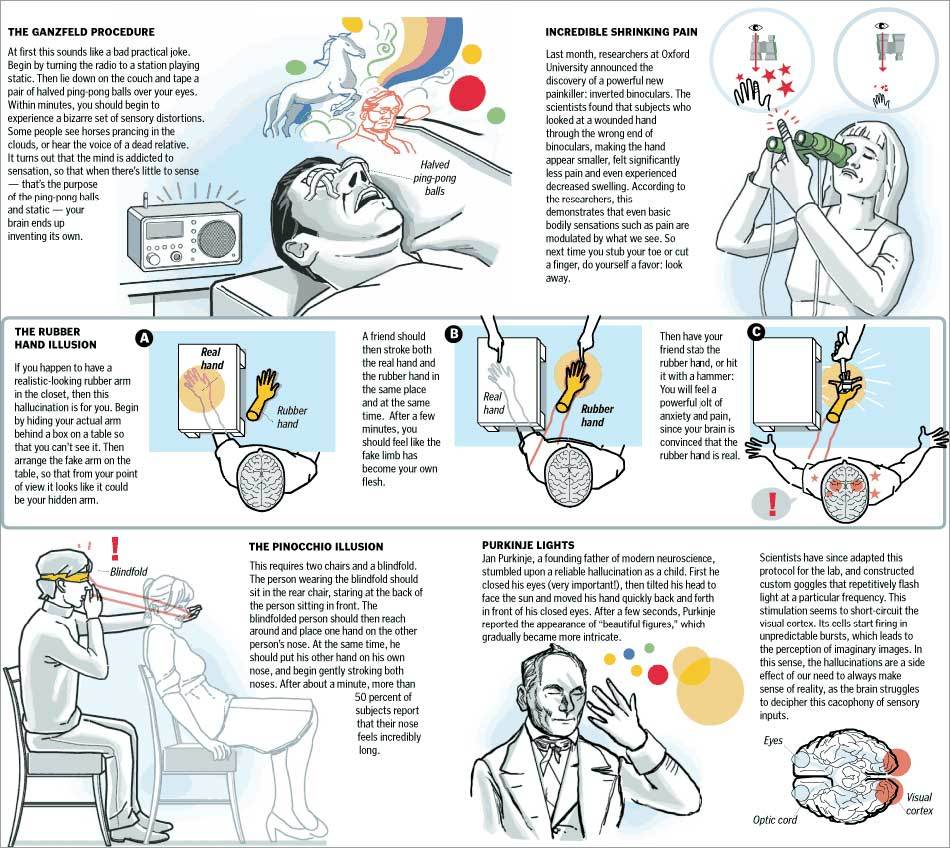 http://cache.boston.com/bonzai-fba/Third_Party_Graphic/2009/01/10/11brain2axx__1231575167_0544.jpg