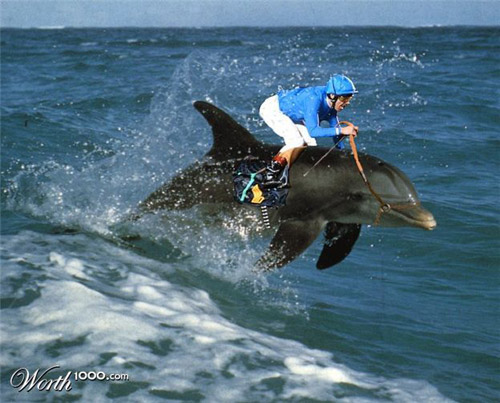 http://www.1stwebdesigner.com/wp-content/uploads/2009/04/photoshopped/dolphin-racing-photomanipulation.jpg