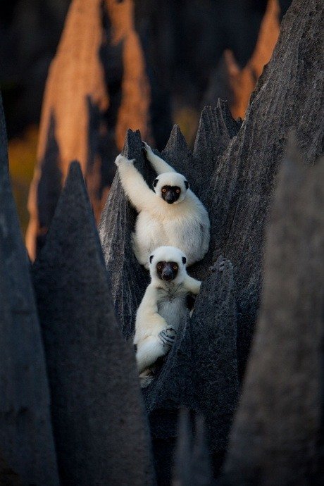 http://14.media.tumblr.com/tumblr_ku9uye0XNn1qz6ygbo1_500.jpg