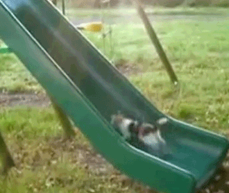http://i.imgur.com/eSAxA.gif
