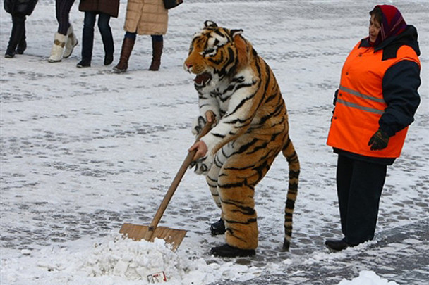 http://image.tsn.ua/media/images/608xX/Dec2009/eacd92041f_190741.jpg