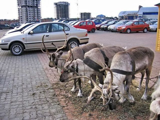 http://www.inpic.ru/pic/4107-4b6f0b1a.jpg