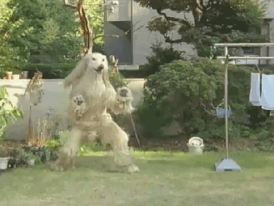 http://26.media.tumblr.com/tumblr_kzm1cfCdR31qzr2kio1_400.gif