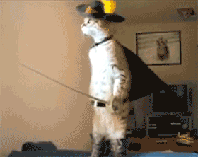http://www.ljplus.ru/img4/s/l/slait/cats.gif