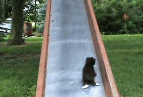 http://i055.radikal.ru/1005/ab/d8509d1c49b5.gif