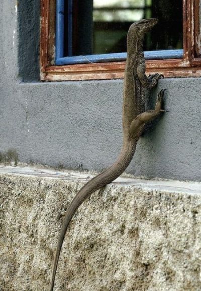 http://trinixy.ru/pics4/20100518/podborka2_01.jpg