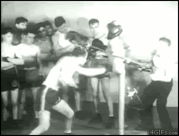 http://img88.imageshack.us/img88/7498/boxingtraining.gif