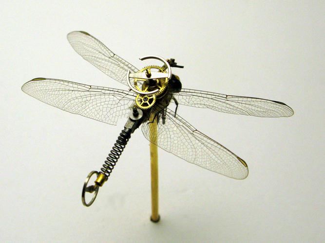 http://www.t-l-k.com/images/habr/insects/2009SmallDragon.jpg