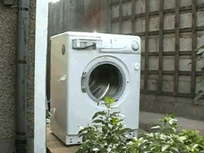 http://pics.kuvaton.com/kuvei/brick_in_the_washing_machine.gif