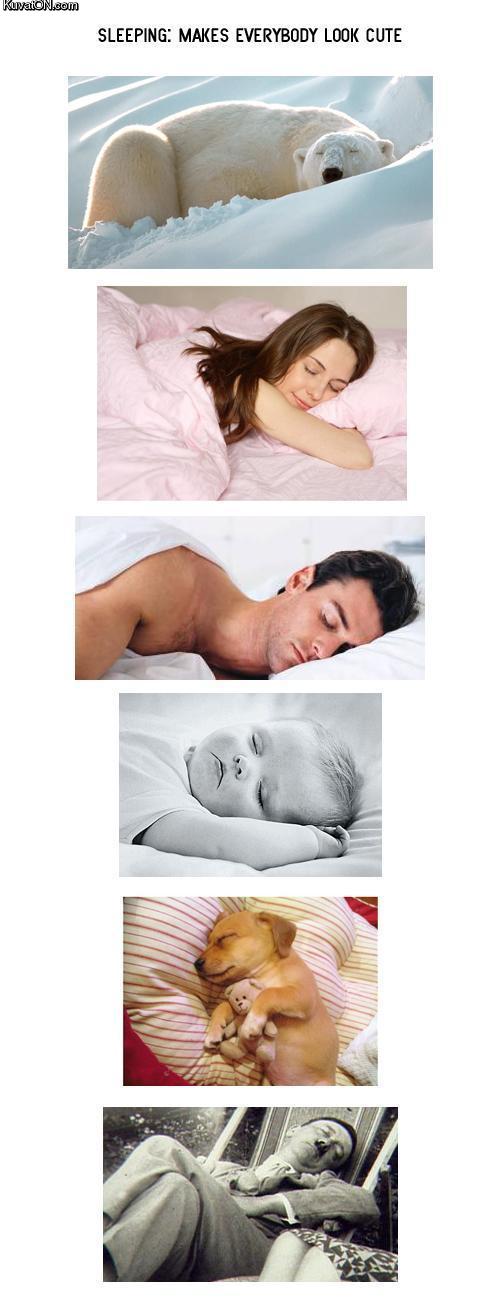 http://pics.kuvaton.com/kuvei/sleeping_makes_everybody_look_cute.jpg