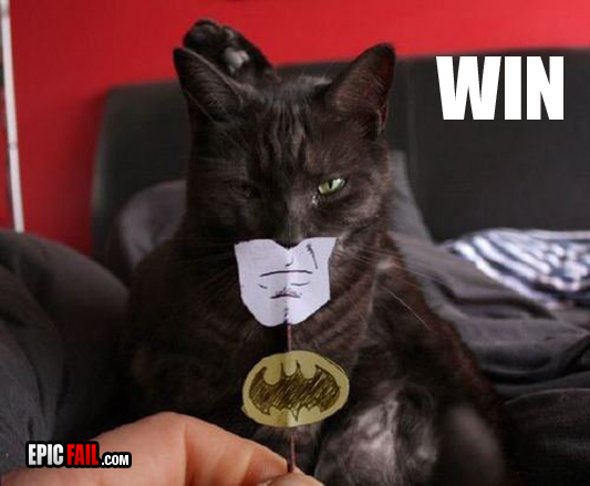 http://pic.epicfail.com/wp-content/uploads/2010/11/instant-batman-costume-win.jpg