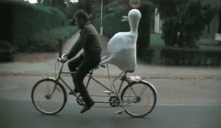 http://bunkstrutts.files.wordpress.com/2011/01/biciycle-duck.gif