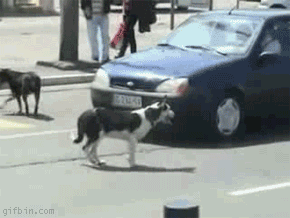 http://2-ch.ru/b/src/1298580035546.gif
