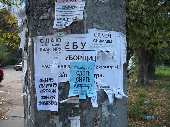 http://cs4525.vkontakte.ru/u53444655/109641127/x_e2153c44.jpg