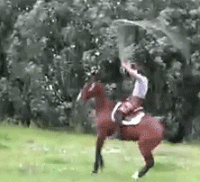 http://www.yapfiles.ru/files/230533/1345da90.gif