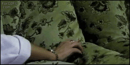 http://i.kontakter.me/2011/07/01/385_sometimes_animals_are_complete_08.gif