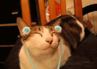 http://cat-antique.com/wp-content/uploads/2011/06/kotogifka-03.gif