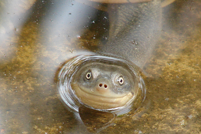 http://farm4.static.flickr.com/3192/2572889148_038b9e3636_z.jpg