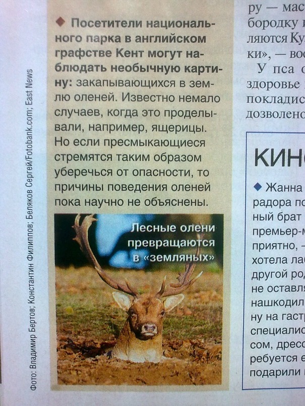http://cs5705.vk.com/u2303065/104828810/y_0e137a5d.jpg