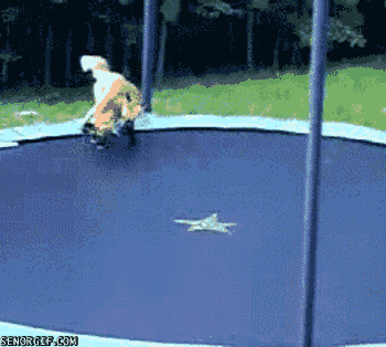 http://chzgifs.files.wordpress.com/2011/07/foxes-on-a-trampoline.gif