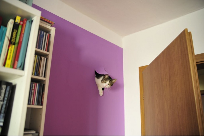 http://www.inpic.ru/pic/8104-a6ad553b.jpg