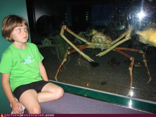 http://cheezpictureisunrelated.files.wordpress.com/2011/11/wtf-photos-videos-soon.jpg