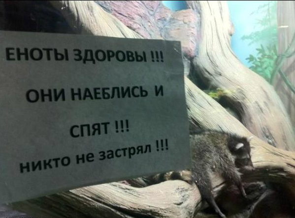 http://s48.radikal.ru/i120/1111/3e/aba83e639f15.jpg