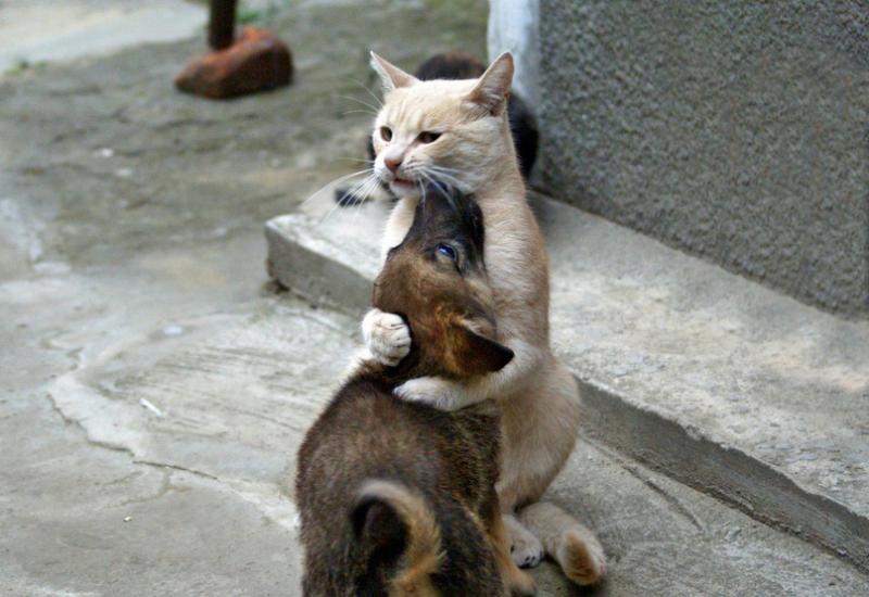 http://cs958.vkontakte.ru/u121514/-14/y_74dc3d4e.jpg