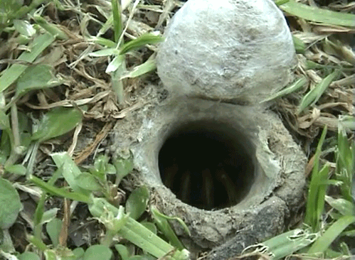 http://b.asset.soup.io/asset/2861/6475_bb7e.gif