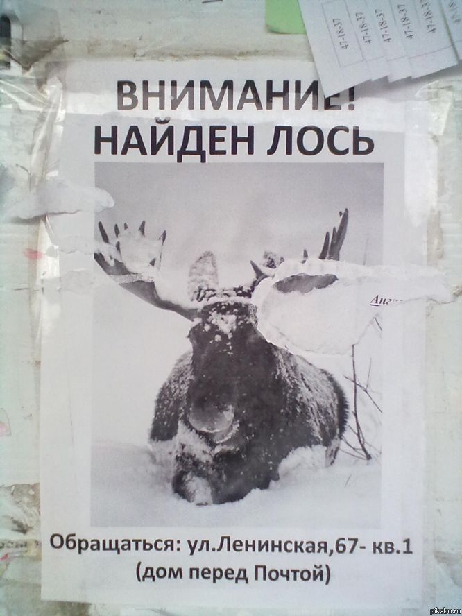 http://apikabu.ru/img_n/2012-03_3/jte.jpg
