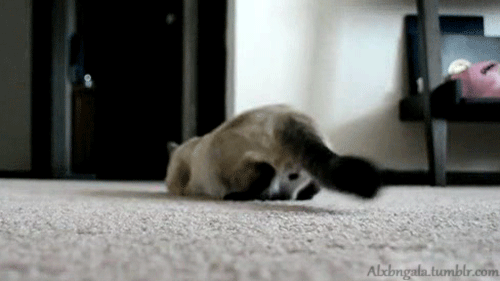 http://www.exler.ru/blog/upload/images/3VbsP.gif