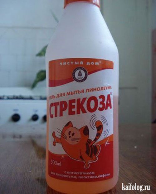 http://img13.nnm.ru/f/b/3/2/c/0a63b638bae79df896f41ecadeb.jpg