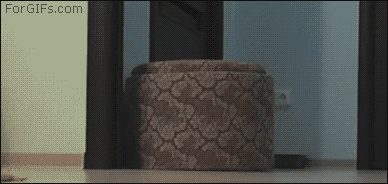 http://27.media.tumblr.com/tumblr_m14mux8eCw1qdlh1io1_r1_400.gif