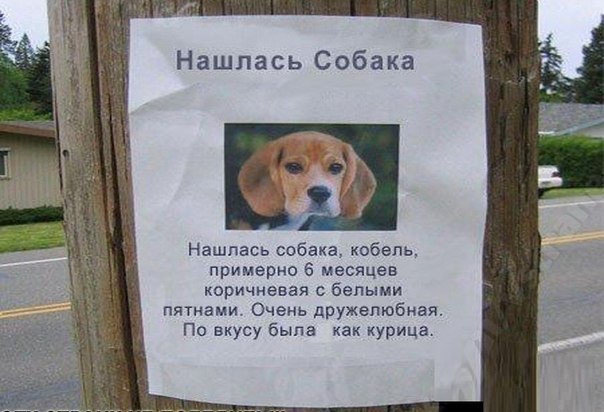 http://cs5496.userapi.com/u27619991/-14/x_439d3857.jpg