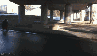 http://tormashki.net/uploads/posts/2012-03/1332666520_1332596i.gif