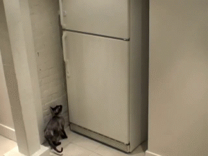 http://img15.nnm.ru/c/d/0/5/6/7d7046b90dbda6d69a6bb819200.gif