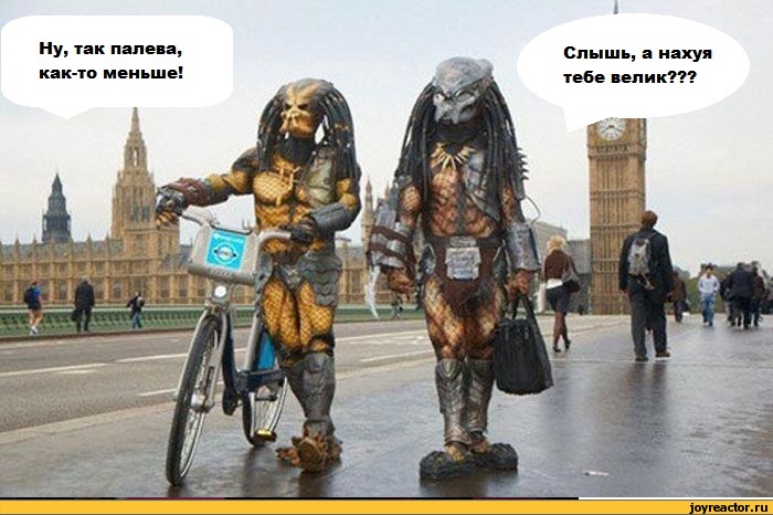 http://img0.joyreactor.ru/pics/post/%D1%85%D0%B8%D1%89%D0%BD%D0%B8%D0%BA-%D0%BF%D0%B5%D1%81%D0%BE%D1%87%D0%BD%D0%B8%D1%86%D0%B0-135650.jpeg