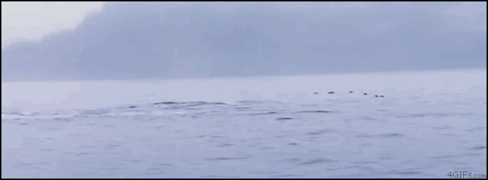 http://img3.joyreactor.ru/pics/post/%D0%B3%D0%B8%D1%84%D0%BA%D0%B8-142253.gif