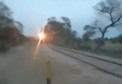http://i.minus.com/ibmsgk2UYclwVF.gif