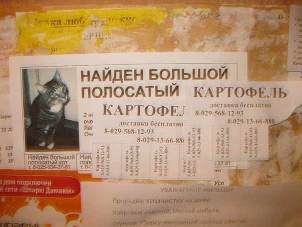 http://cs301409.userapi.com/u14777852/-14/x_e7fec9a1.jpg