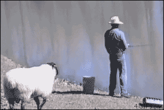 http://www.frontarmy.com/wp-content/uploads/2012/05/abd-257.gif