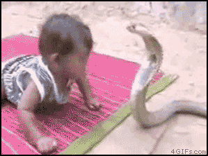 http://c921913.r13.cf2.rackcdn.com/cms/wp-content/uploads/2012/06/zXEDk.gif