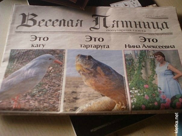 http://cs410820.userapi.com/v410820532/795/5eUzxvZSeDA.jpg
