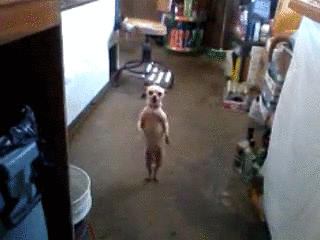 http://assets2.mmm-tasty.ru/3415972234/assets/att/1b/fe/8771921_0_0_tumblr_m60u3qN7Fr1qbyxr0o1_400_tlog.gif