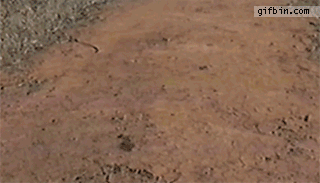 http://img3.imageshack.us/img3/2223/bd383086fb04476259b00fc.gif