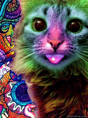 http://img.pr0gramm.com/2012/07/m19vnl-2exyhc1.gif