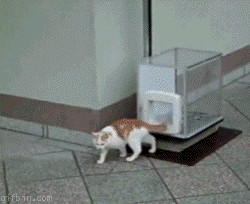 http://i.imgur.com/dXPSR.gif