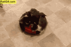 http://i.imgur.com/SFoRO.gif